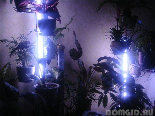 Светодиодная лампа для цветов